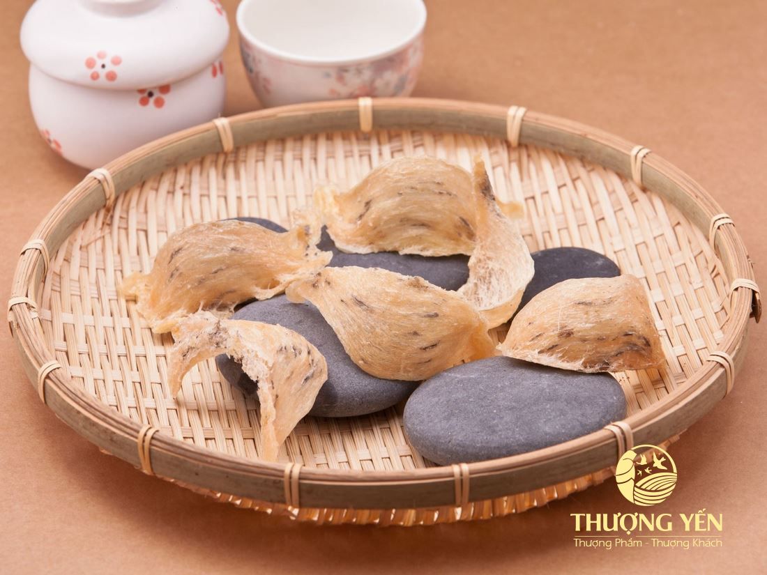 Tổ yến sào chất lượng cao